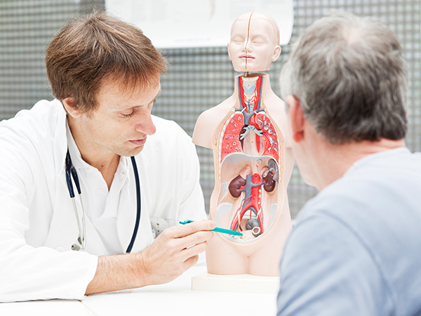 Arzt des Kontinenz- und Beckenbodenzentrums am Caritas-Krankenhaus St. Joseferklärt Anatomie mit Modell.